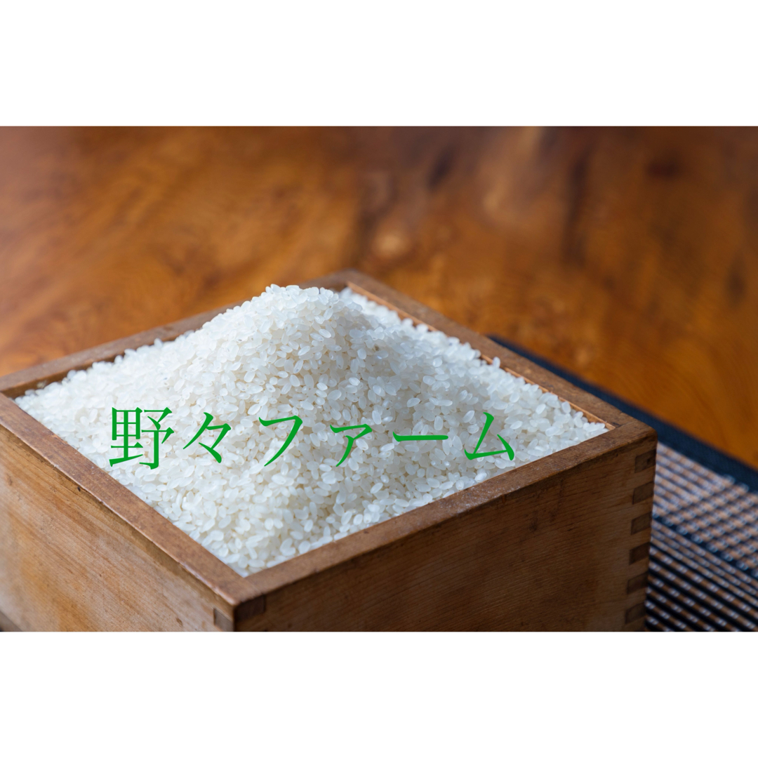 雪若丸　10kg 特別栽培米　令和5年 山形 食品/飲料/酒の食品(米/穀物)の商品写真