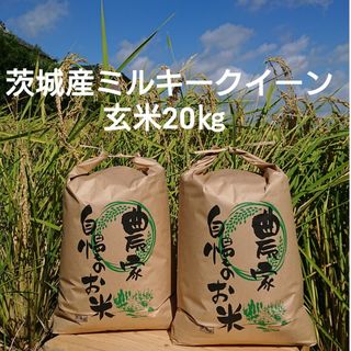 茨城令和5年産ミルキークイーン玄米20kg(米/穀物)