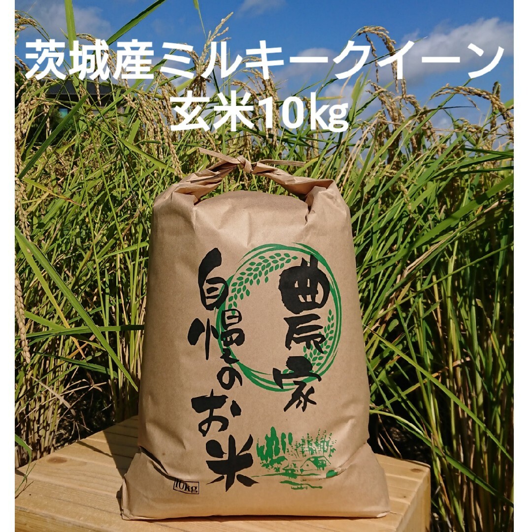 茨城令和5年産ミルキークイーン玄米10kg 食品/飲料/酒の食品(米/穀物)の商品写真