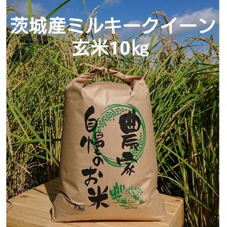 茨城令和5年産ミルキークイーン玄米10kg(米/穀物)