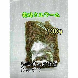 乾燥ミルワーム100g 高淡白 小動物 爬虫類 両生類 ハムスター ハリネズミ(爬虫類/両生類用品)