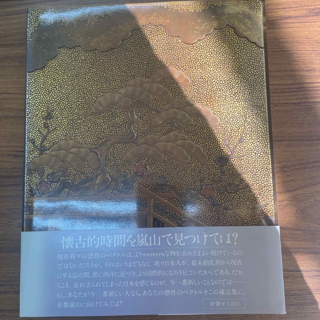 京都嵐山美術館鉄と漆の芸術 チケットの施設利用券(美術館/博物館)の商品写真