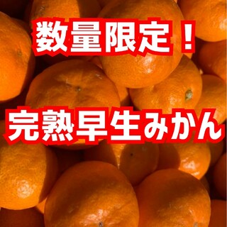 愛媛県産　完熟早生みかん　3㎏　柑橘　ミカン(フルーツ)