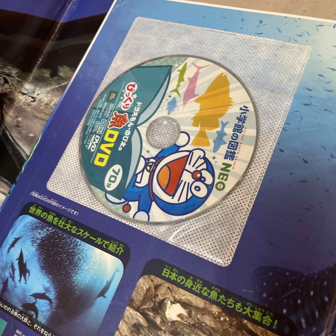 小学館(ショウガクカン)の魚　小学館の図鑑　NEO 新版　DVD付き エンタメ/ホビーの本(絵本/児童書)の商品写真