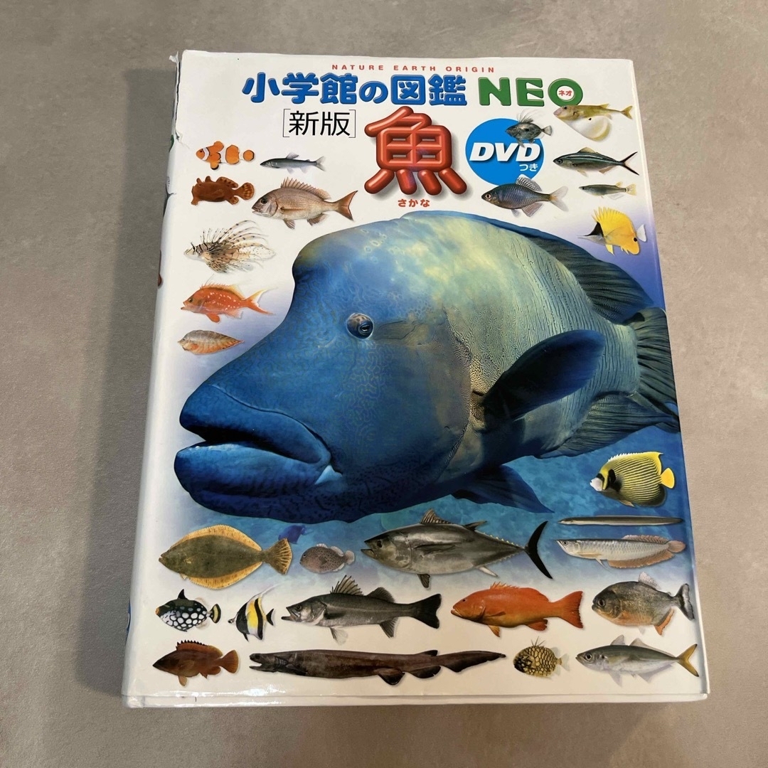 小学館(ショウガクカン)の魚　小学館の図鑑　NEO 新版　DVD付き エンタメ/ホビーの本(絵本/児童書)の商品写真