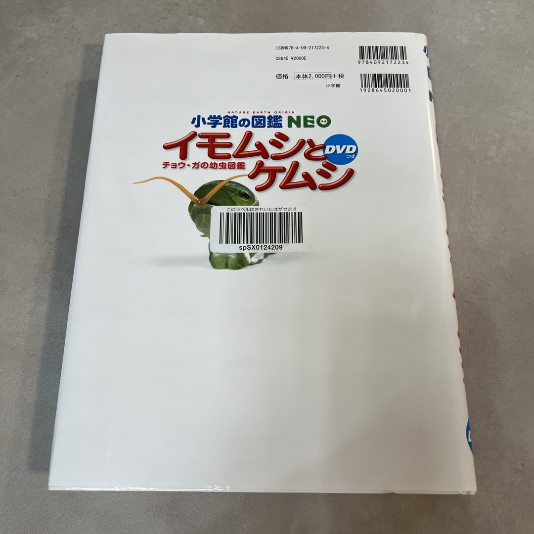 小学館(ショウガクカン)のイモムシとケムシ　小学館の図鑑　NEO DVD付き エンタメ/ホビーの本(絵本/児童書)の商品写真