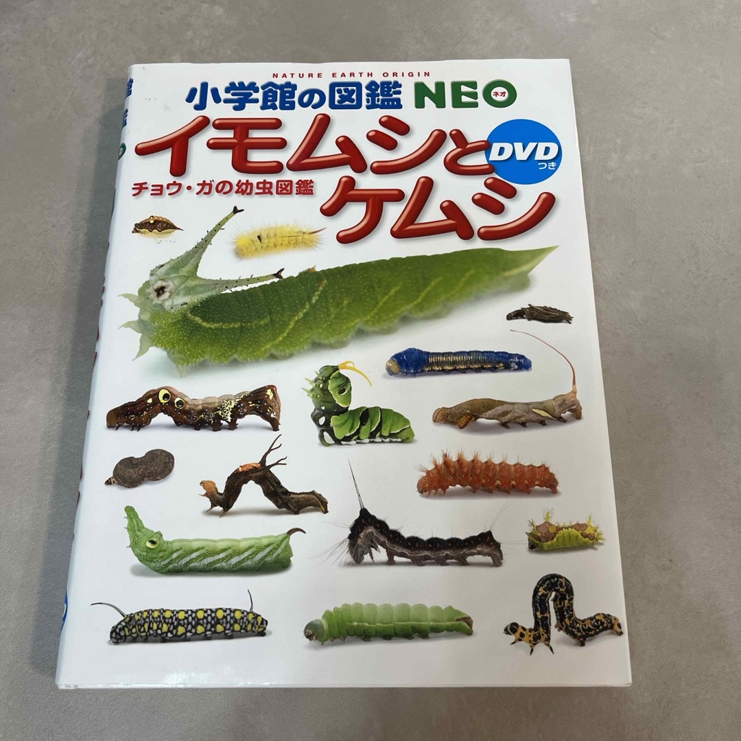 小学館(ショウガクカン)のイモムシとケムシ　小学館の図鑑　NEO DVD付き エンタメ/ホビーの本(絵本/児童書)の商品写真