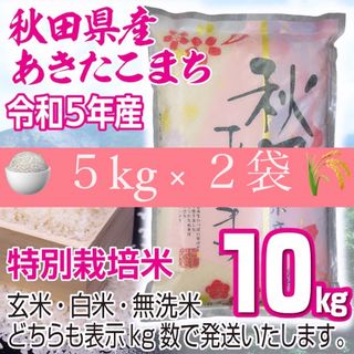 令和５年産 秋田県産 【特別栽培米】 あきたこまち１０kg 無洗米も対応(米/穀物)