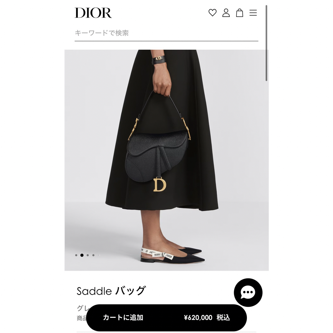 阪急百貨店DIOR Saddleバッグ