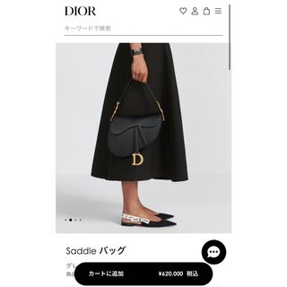 ディオール(Dior)のDIOR Saddleバッグ(ハンドバッグ)