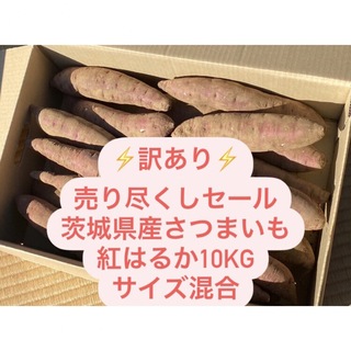 【訳あり】茨城県産さつまいも紅はるか10kgサイズ混合(野菜)