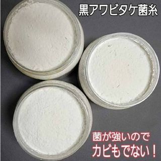 貴重！黒アワビタケ菌糸瓶【3本】特殊アミノ酸強化配合！ニジイロクワガタに抜群！(虫類)