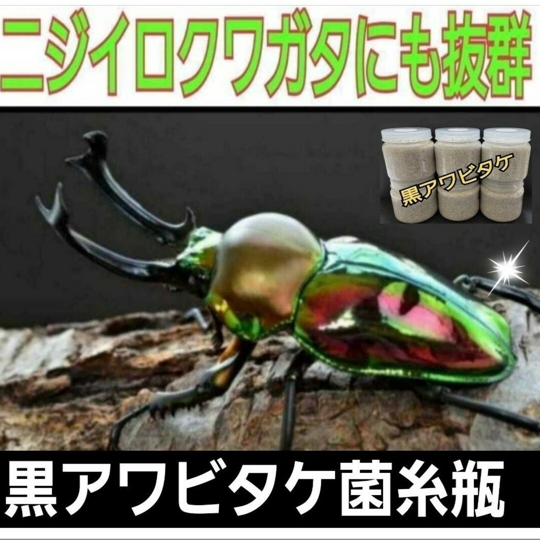 貴重！黒アワビタケ菌糸瓶【4本】特殊アミノ酸強化配合！ニジイロクワガタに抜群！ その他のペット用品(虫類)の商品写真