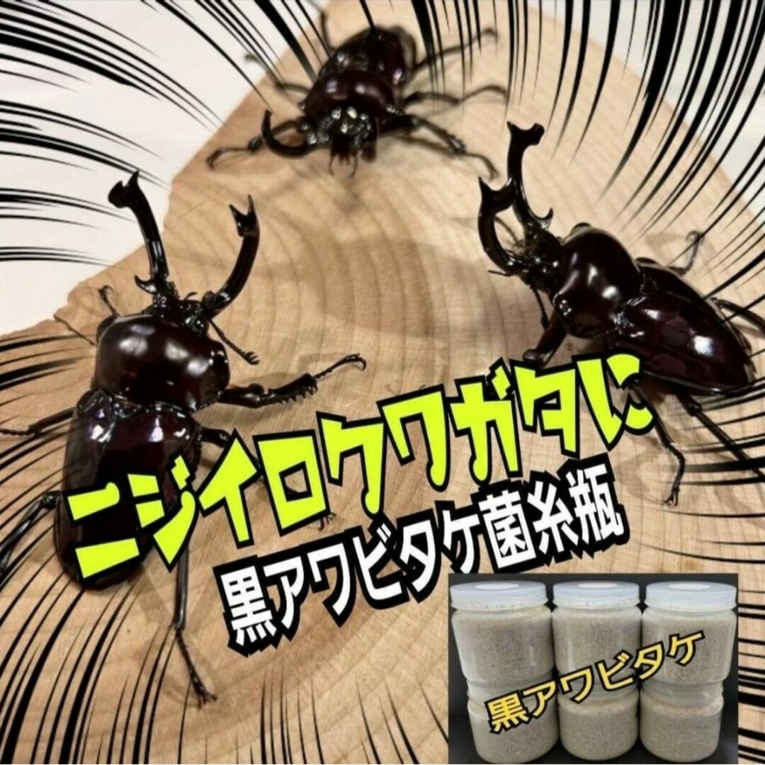 貴重！黒アワビタケ菌糸瓶【7本】特殊アミノ酸強化配合！ニジイロクワガタに抜群！ その他のペット用品(虫類)の商品写真