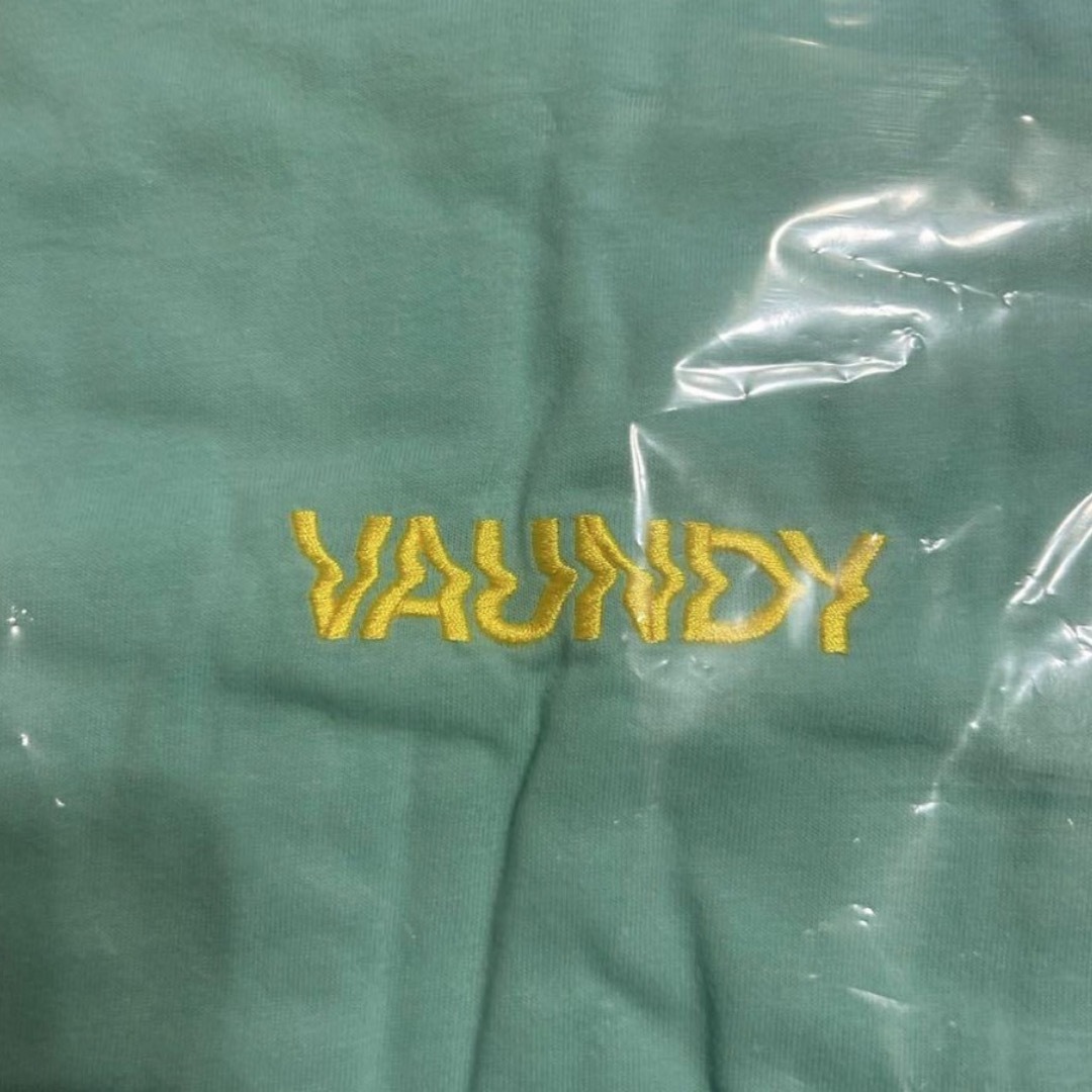 Vaundy  フェス　Tシャツ　Mサイズ エンタメ/ホビーのタレントグッズ(ミュージシャン)の商品写真