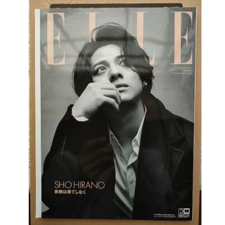 エル(ELLE)の増刊 ELLE JAPON (エル・ジャポン) 特別版 2023年 11月号 …(結婚/出産/子育て)