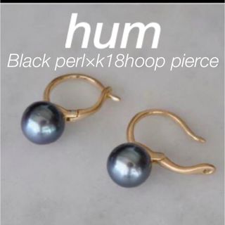 hum ブラックパール✖️k18ゴールドフープピアス(ピアス)