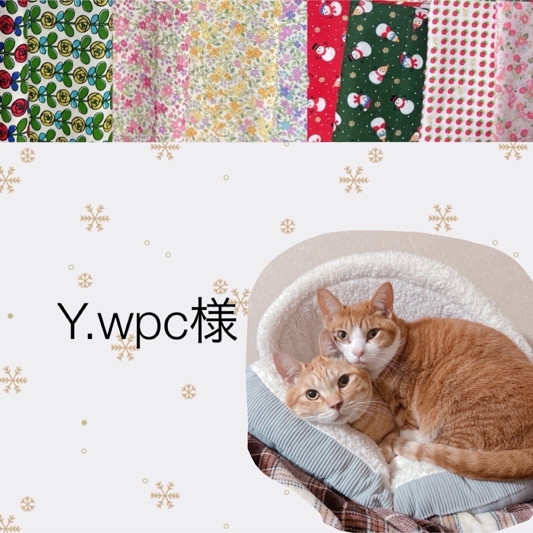 専用　猫首輪 ハンドメイドのペット(リード/首輪)の商品写真