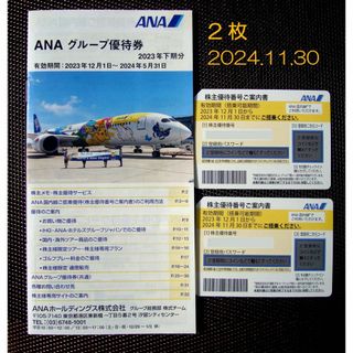 ANA  株主優待券　2枚　2024.11.30　ＡＮＡグループ優待券　1冊　(航空券)