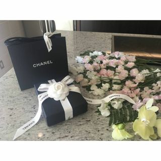 シャネル(CHANEL)の★CHANEL★空箱・ソフトケース・ショップ袋セット★カメリア・リボン付（２）★(その他)