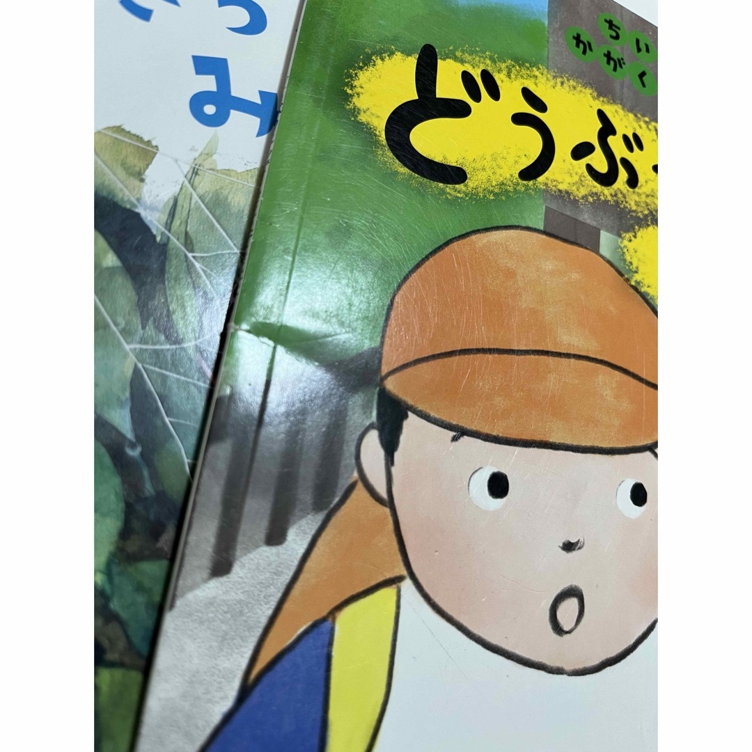 福音館書店(フクインカンショテン)の【絵本４冊セット】かがくのとも　こどものくに エンタメ/ホビーの本(絵本/児童書)の商品写真