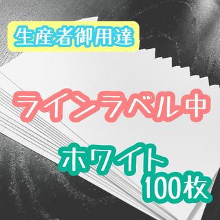 ラインラベル 中 白 100枚 園芸カラーラベル 多肉植物 エケベリア (プランター)