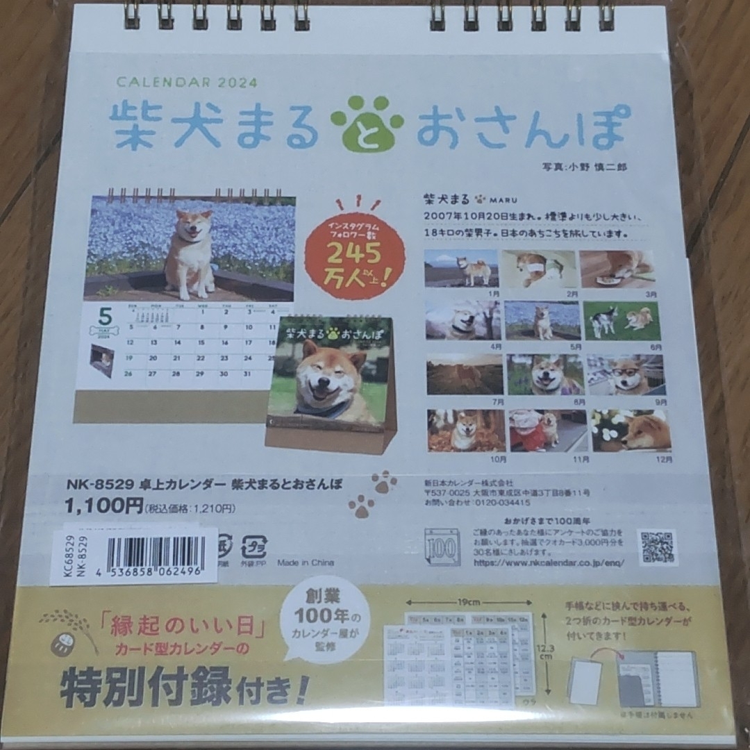 柴犬まるとおさんぽ2024年 カレンダー インテリア/住まい/日用品の文房具(カレンダー/スケジュール)の商品写真