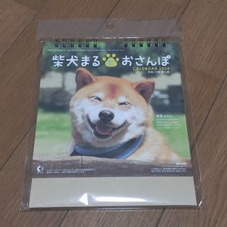 柴犬まるとおさんぽ2024年 カレンダー(カレンダー/スケジュール)