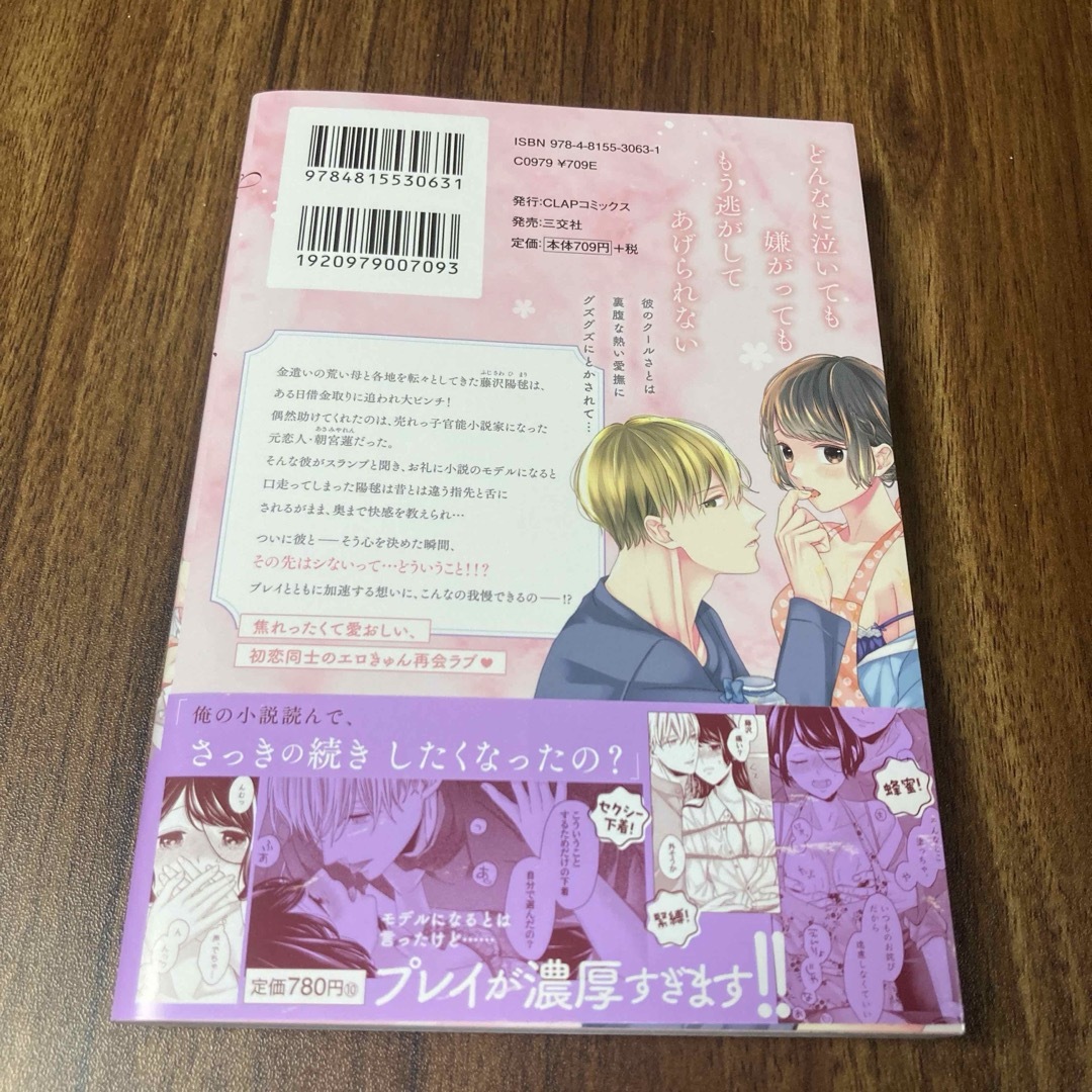 なぞるように、甘い手ほどき。～元カレ(官能小説家)は私を抱かずに愛す～ エンタメ/ホビーの漫画(女性漫画)の商品写真