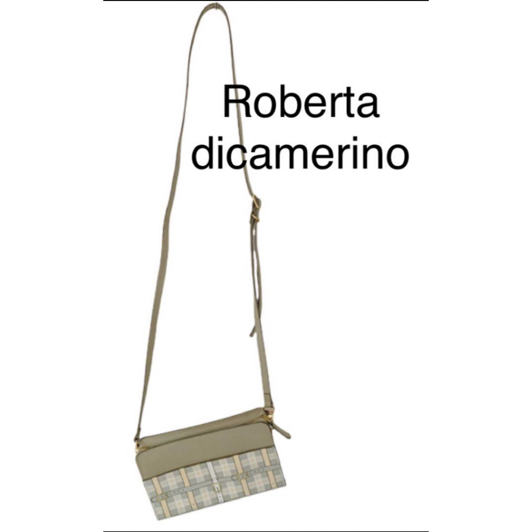 ROBERTA DI CAMERINO(ロベルタディカメリーノ)の美品ロベルタ　ミニポシェット　ショルダーバッグ　牛革レザー レディースのバッグ(ショルダーバッグ)の商品写真