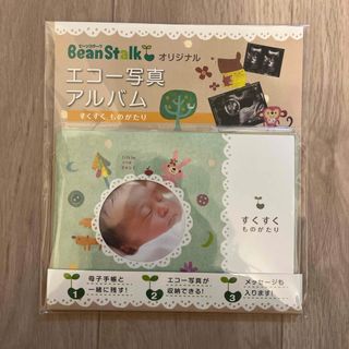 エコー写真アルバム(アルバム)