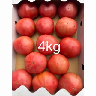 規格外トマト4kg(野菜)