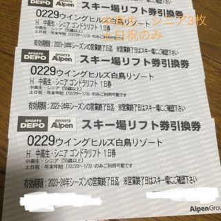 施設利用券ニセコ全山共通リフト3日券交換券2枚