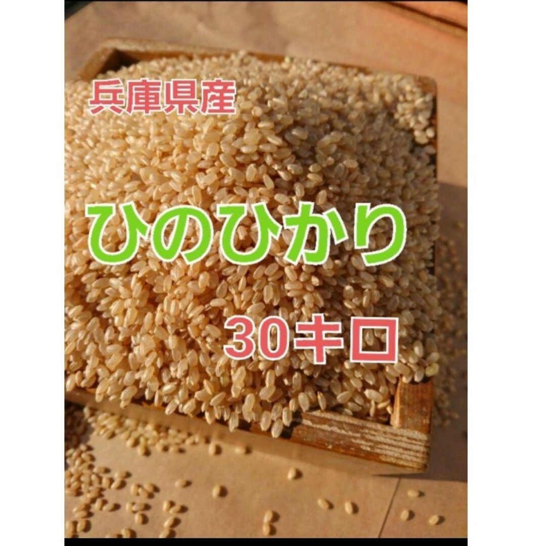 数量限定！！新米玄米　兵庫県産　ヒノヒカリ 食品/飲料/酒の食品(米/穀物)の商品写真