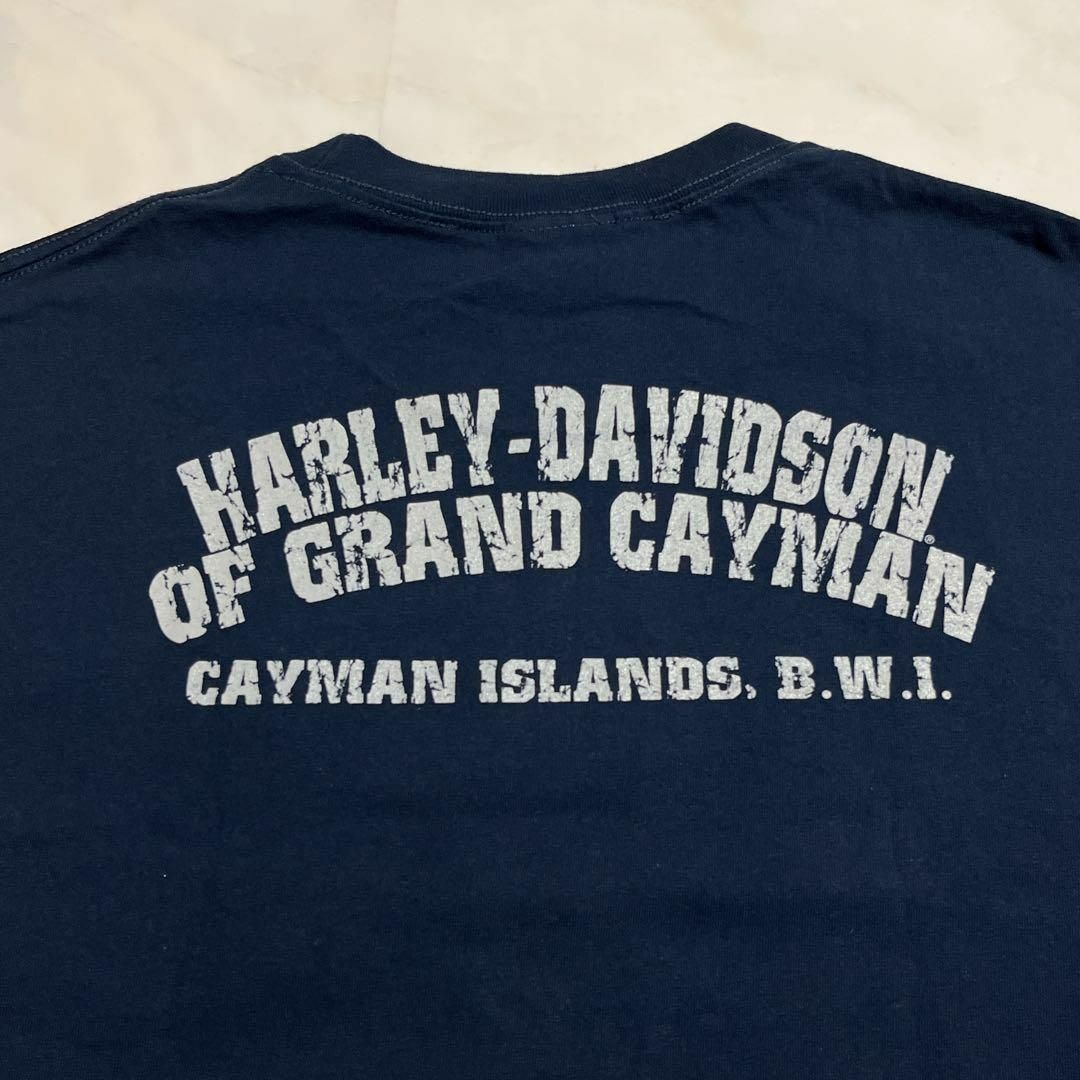 Harley Davidson(ハーレーダビッドソン)のHARLEY DAVIDSON Tシャツ スカル ネイビー ポケット L メンズのトップス(Tシャツ/カットソー(半袖/袖なし))の商品写真