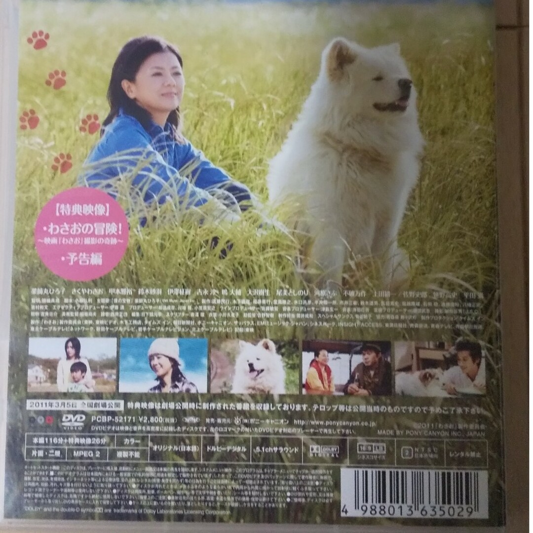 わさおDVD わさお映画 秋田犬 わさお エンタメ/ホビーのDVD/ブルーレイ(日本映画)の商品写真