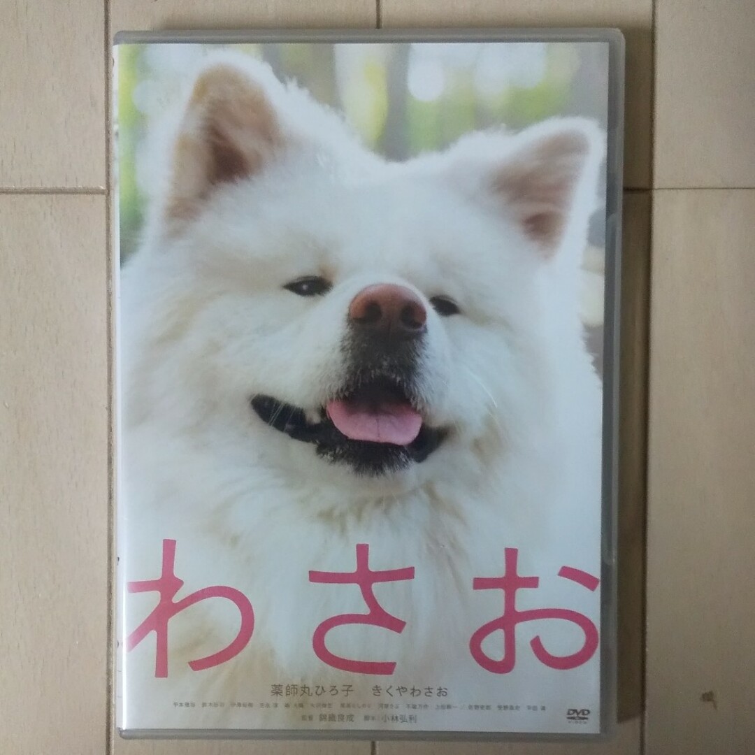 わさおDVD わさお映画 秋田犬 わさお エンタメ/ホビーのDVD/ブルーレイ(日本映画)の商品写真