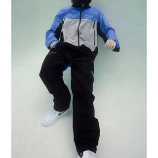 STUSSY - 【レア】00's STUSSY マウンテンパーカー 裏地フォトプリント