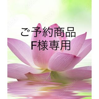 ご予約商品　F様専用(書)