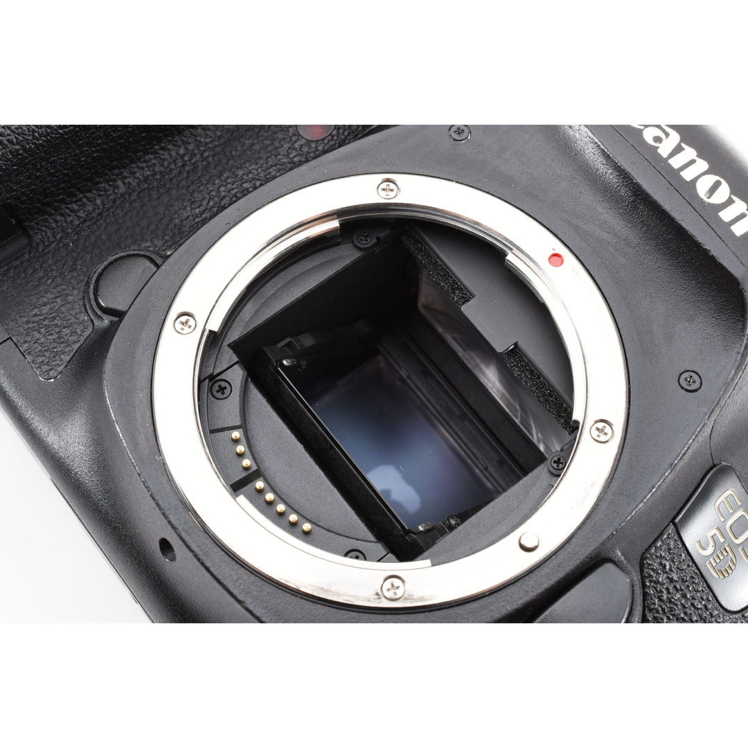 Canon EOS 5D mark III標準&望遠ダブルレンズセット Canon EOS 5D mark III標準&望遠ダブルレンズセット