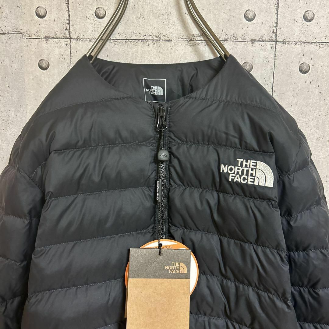 THE NORTH FACE(ザノースフェイス)の【新品】ノースフェイス　ダウンジャケット　BALL EX  タグ付　キッズ120 キッズ/ベビー/マタニティのキッズ服女の子用(90cm~)(コート)の商品写真