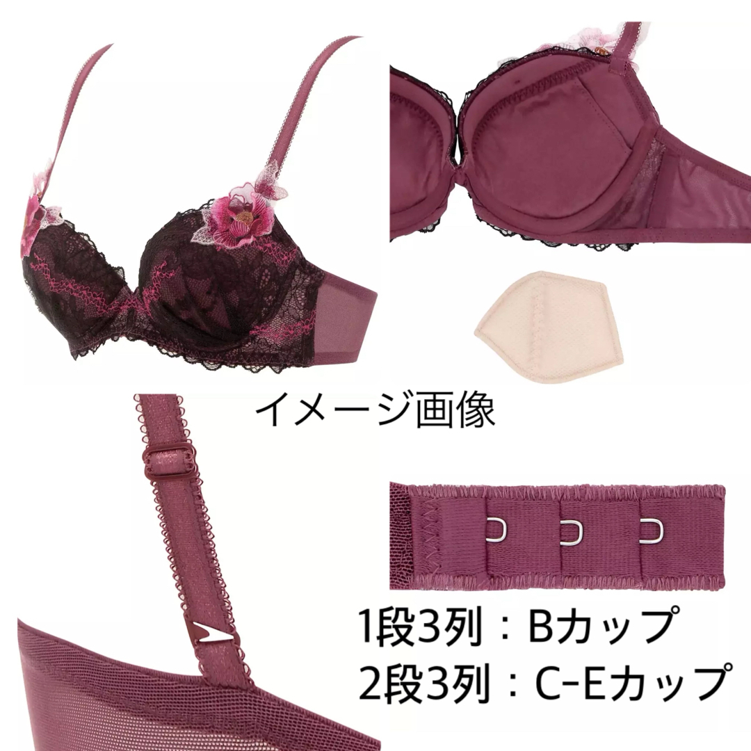 Triumph - D75/M◇トリンプ TR0094 プレミアムレッドレーベル Triumph - D75/M◇トリンプ TR0094 プレミアムレッドレーベル