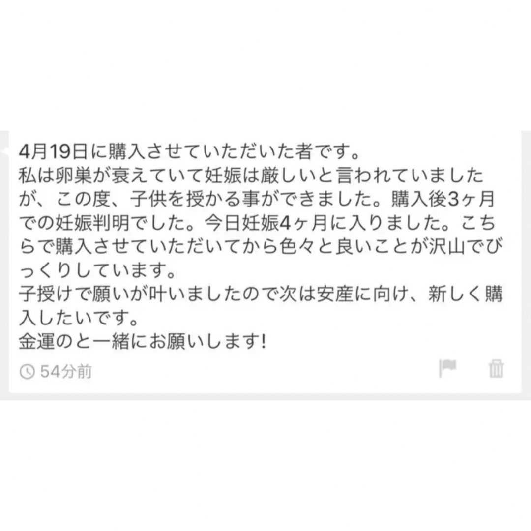 子宝祈願・妊活・安産などに＊子宝アップ＊強力なお守り＊ ハンドメイドのハンドメイド その他(その他)の商品写真