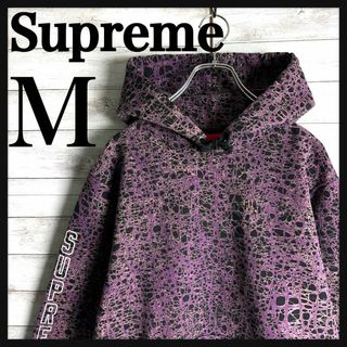 シュプリーム(Supreme)の6799【即完売モデル】シュプリーム☆アームロゴ総柄デザイン肉厚パーカー　美品(パーカー)