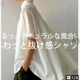 アンティカ(antiqua)の完売品！antiqua アンティカ　コットンドレープシャツ(シャツ/ブラウス(半袖/袖なし))