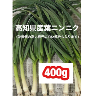 高知県産葉にんにく　葉ニンニク　産地直送400japt(野菜)
