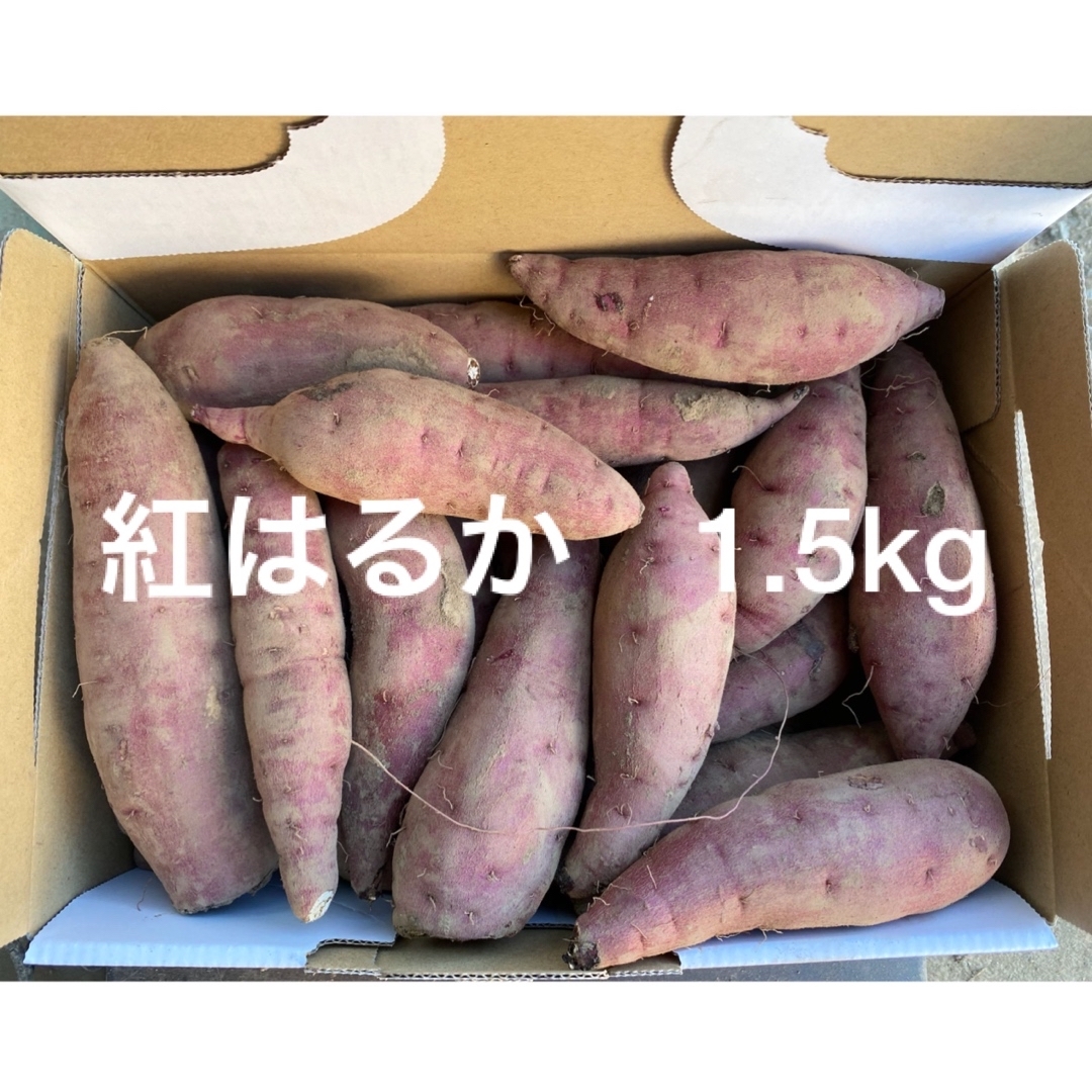 紅はるか　さつまいも　小さいサイズ　1.5kg 食品/飲料/酒の食品(野菜)の商品写真