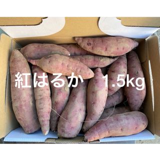 紅はるか　さつまいも　小さいサイズ　1.5kg(野菜)