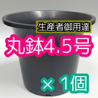 丸鉢 4.5号 黒 1個 プラ鉢 サボテン アガベ 観葉植物 多肉植物(プランター)