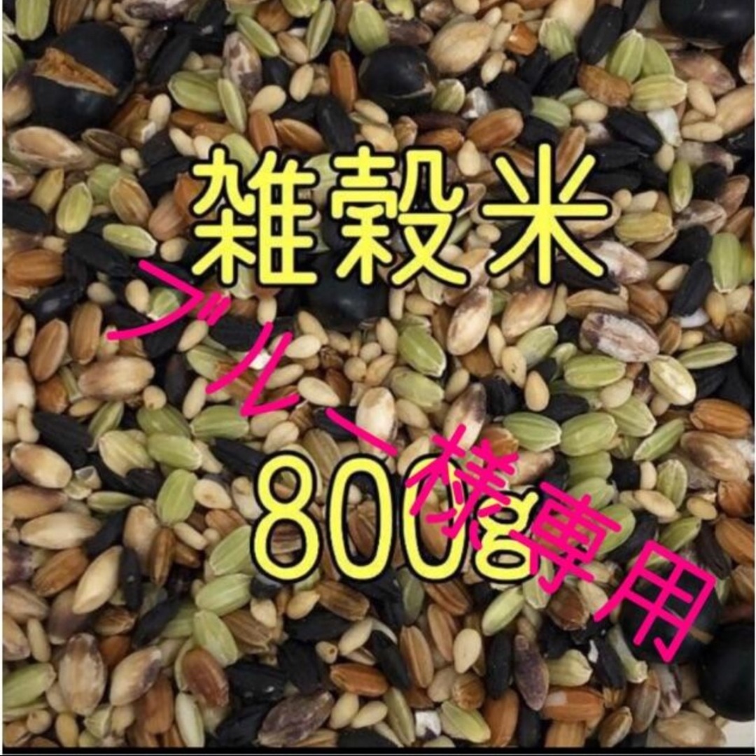 ブルー様専用　雑穀米　800ｇ　（400g×2） 食品/飲料/酒の食品(米/穀物)の商品写真
